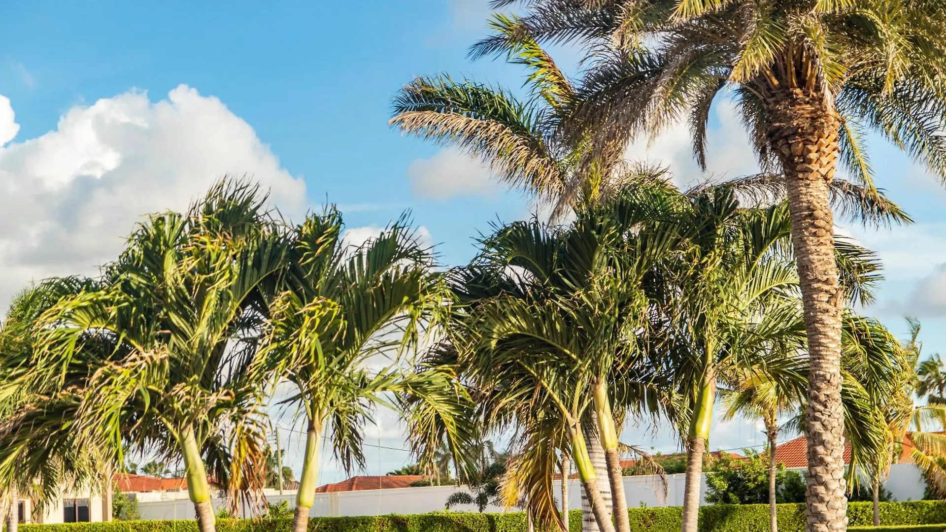 Aparthotel Bocobay Gold Coast Resort Palm Beach