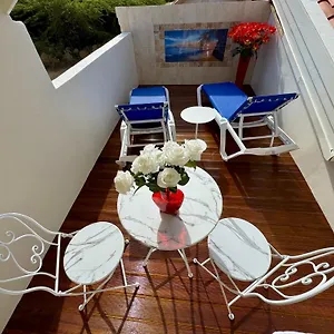 Boutique Swiss Paradise Aruba And Palm Beach
